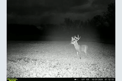 14096  Turben Ridge Rd, Clayton, WI 54655 - Photo 62