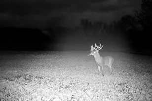 14096 Turben Ridge Rd, Clayton, WI 54655 - Photo 62