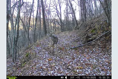 14096  Turben Ridge Rd, Clayton, WI 54655 - Photo 54