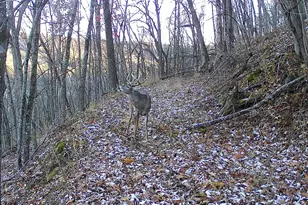 14096 Turben Ridge Rd, Clayton, WI 54655 - Photo 54