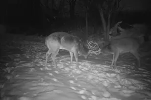 14096 Turben Ridge Rd, Clayton, WI 54655 - Photo 42