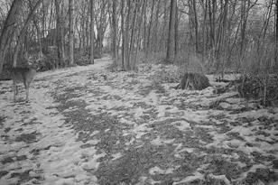 14096 Turben Ridge Rd, Clayton, WI 54655 - Photo 28