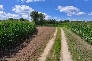 14096 Turben Ridge Rd, Clayton, WI 54655 - Photo 8