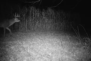 14096 Turben Ridge Rd, Clayton, WI 54655 - Photo 48