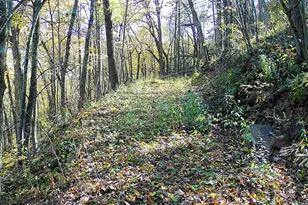 14096 Turben Ridge Rd, Clayton, WI 54655 - Photo 36