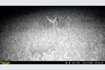 14096  Turben Ridge Rd, Clayton, WI 54655 - Photo 40