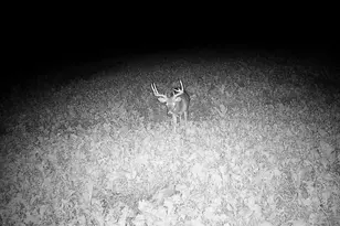 14096 Turben Ridge Rd, Clayton, WI 54655 - Photo 40