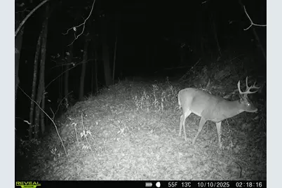 14096  Turben Ridge Rd, Clayton, WI 54655 - Photo 52