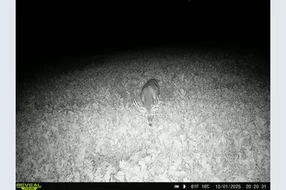 14096  Turben Ridge Rd, Clayton, WI 54655 - Photo 56