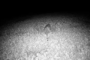 14096 Turben Ridge Rd, Clayton, WI 54655 - Photo 56