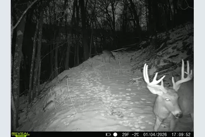 14096  Turben Ridge Rd, Clayton, WI 54655 - Photo 44