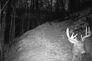 14096 Turben Ridge Rd, Clayton, WI 54655 - Photo 44