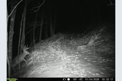 14096  Turben Ridge Rd, Clayton, WI 54655 - Photo 26