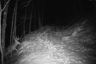 14096 Turben Ridge Rd, Clayton, WI 54655 - Photo 26