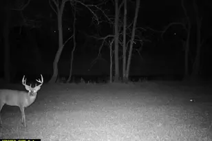 14096 Turben Ridge Rd, Clayton, WI 54655 - Photo 58