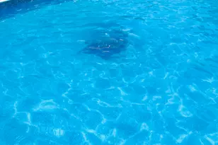 6026 S 23rd St, Milwaukee, WI 53221 - Photo 32