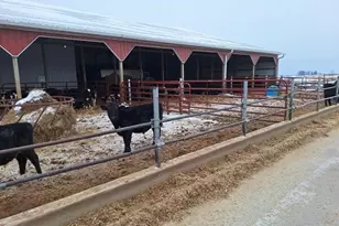 S5044 Nottingham Rd, Jefferson, WI 54665 - Photo 30