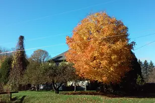 3661 Blue Goose Rd, Saukville, WI 53095 - Photo 54