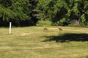 3661 Blue Goose Rd, Saukville, WI 53095 - Photo 58