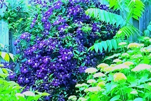 308 Adams St, Fort Atkinson, WI 53538 - Photo 34