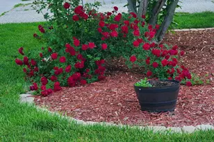 814 N Main St, Hartford, WI 53027 - Photo 2