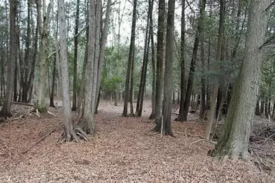 7351  Pine Grove Ln, Two Rivers, WI 54241 - Photo 82