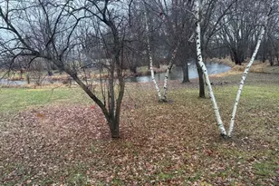 1123 River Dr, Lyons, WI 53105 - Photo 26