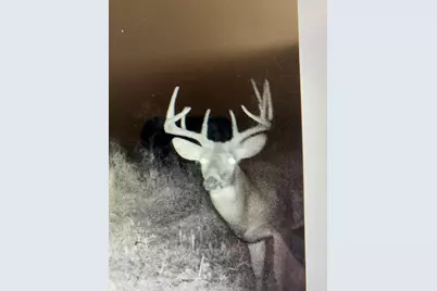 W2723  US Highway 18 -, Jefferson, WI 53137 - Photo 36