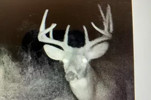 W2723 US Hwy 18 -, Jefferson, WI 53137 - Photo 36