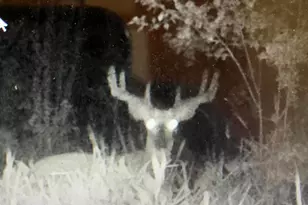 W2723 US Hwy 18 -, Jefferson, WI 53137 - Photo 34