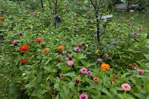 112 28th Ave, Somers, WI 53403 - Photo 34