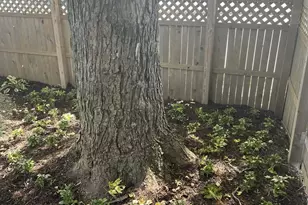 122 W Maple St, Milwaukee, WI 53204 - Photo 60