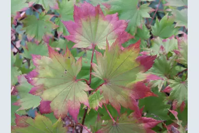 1432  Gunnell Ln, Manitowoc, WI 54220 - Photo 70