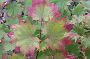 1432 Gunnell Ln, Manitowoc, WI 54220 - Photo 70