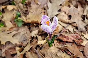 1432 Gunnell Ln, Manitowoc, WI 54220 - Photo 82