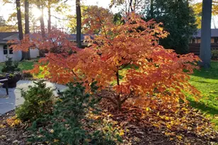 1432 Gunnell Ln, Manitowoc, WI 54220 - Photo 76