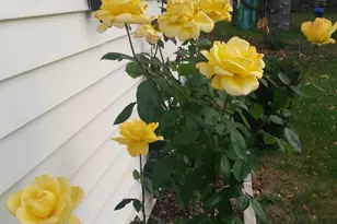 10525 W Rae Ave, Milwaukee, WI 53225 - Photo 48