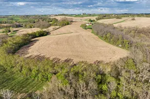 E8527 Nelson Rd, Kickapoo, WI 54652 - Photo 12