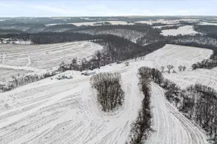 E8527 Nelson Rd, Kickapoo, WI 54652 - Photo 50