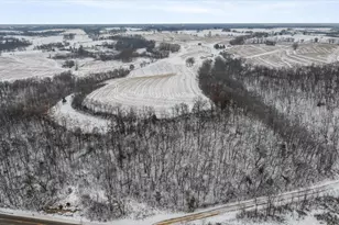 E8527 Nelson Rd, Kickapoo, WI 54652 - Photo 42