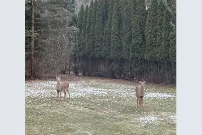 15725  Gebhardt Rd, Brookfield, WI 53005 - Photo 44