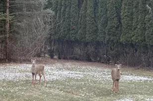 15725 Gebhardt Rd, Brookfield, WI 53005 - Photo 44
