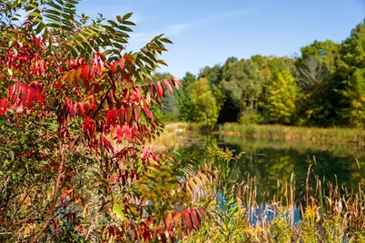 303  Washington Dr, Trenton, WI 53095 - Photo 76