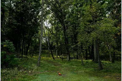 W3895  Timber Lake Rd, Troy, WI 53120 - Photo 60