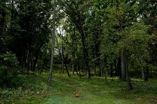 W3895 Timber Lake Rd, Troy, WI 53120 - Photo 60