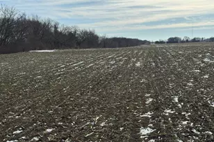 N9722 State Road 26 -, Chester, WI 53922 - Photo 34