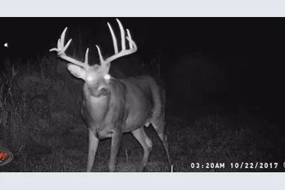 W179S8246  Pioneer Dr, Muskego, WI 53150 - Photo 40