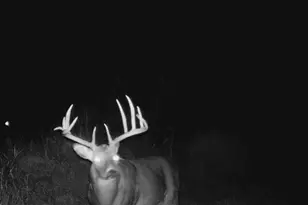 W179S8246 Pioneer Dr, Muskego, WI 53150 - Photo 40