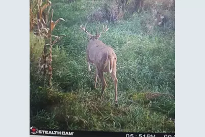 Lt2  Johnson Ln, Ashippun, WI 53059 - Photo 12