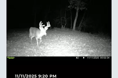 2540  18th Ave, Quincy, WI 53934 - Photo 42